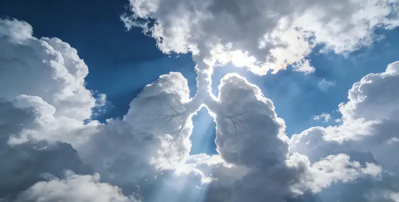 伊春肺癌靶向120基因检测（组织）图片1