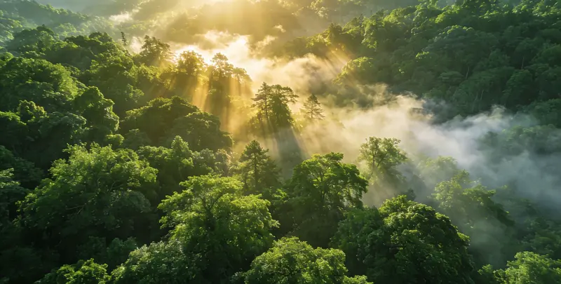 伊春肺癌12基因ctDNA突变检测(血液）图片1
