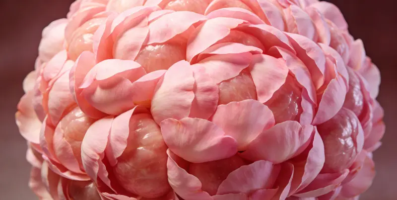 伊春BRCA1/2乳腺癌卵巢癌基因检测图片1