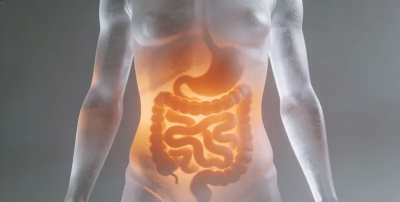 伊春胃癌全面用药基因检测（组织）图片1